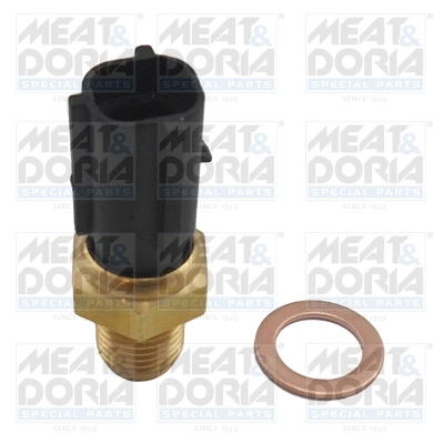 Sensor, coolant temperature